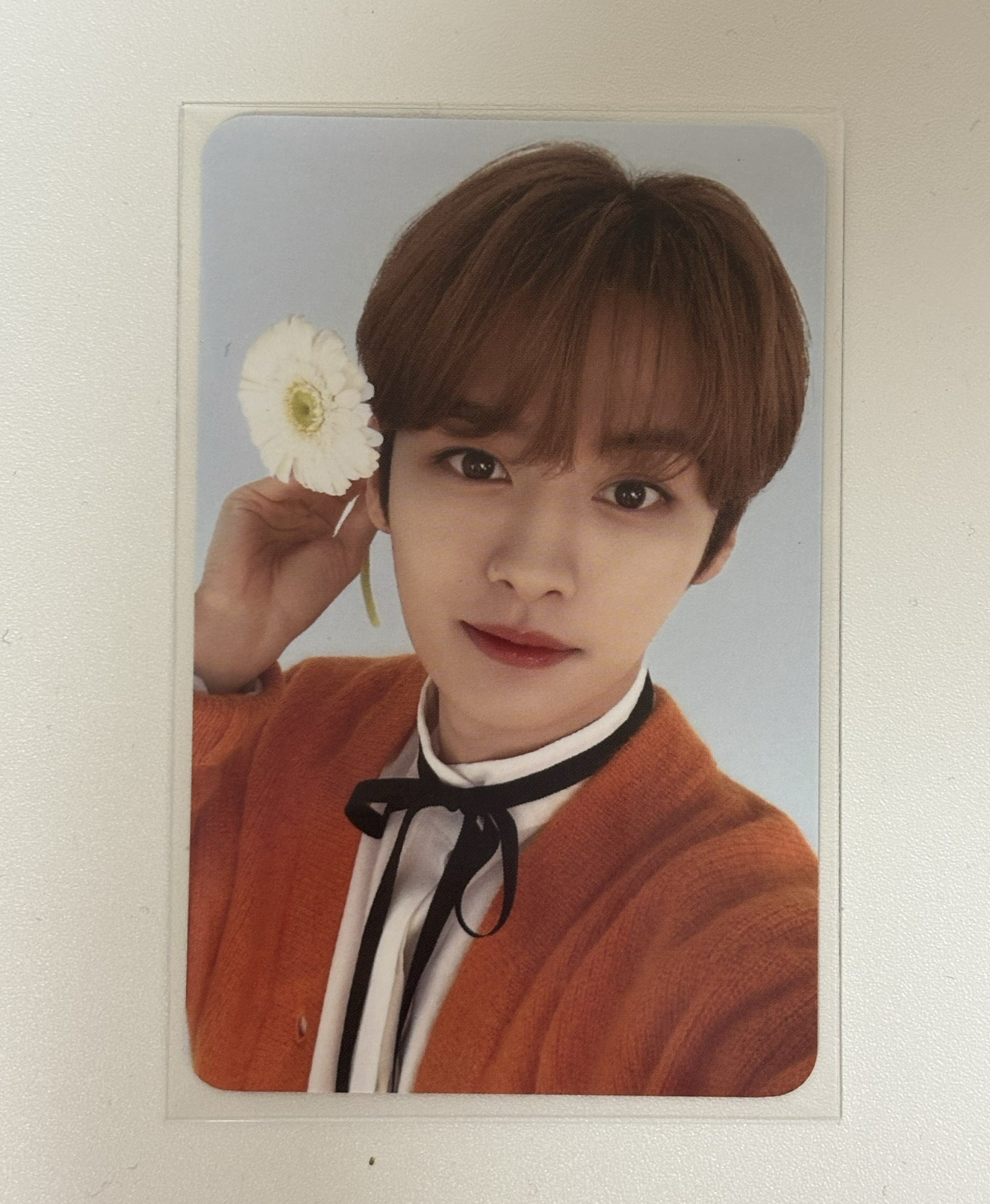 NACIFIC10.0 代言卡 旻