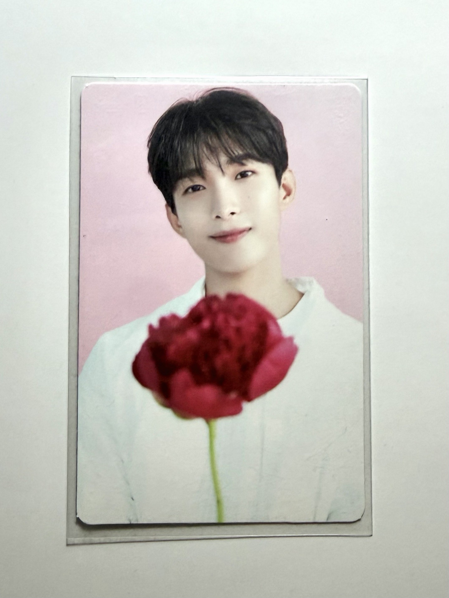 【DK】cafe隨機卡