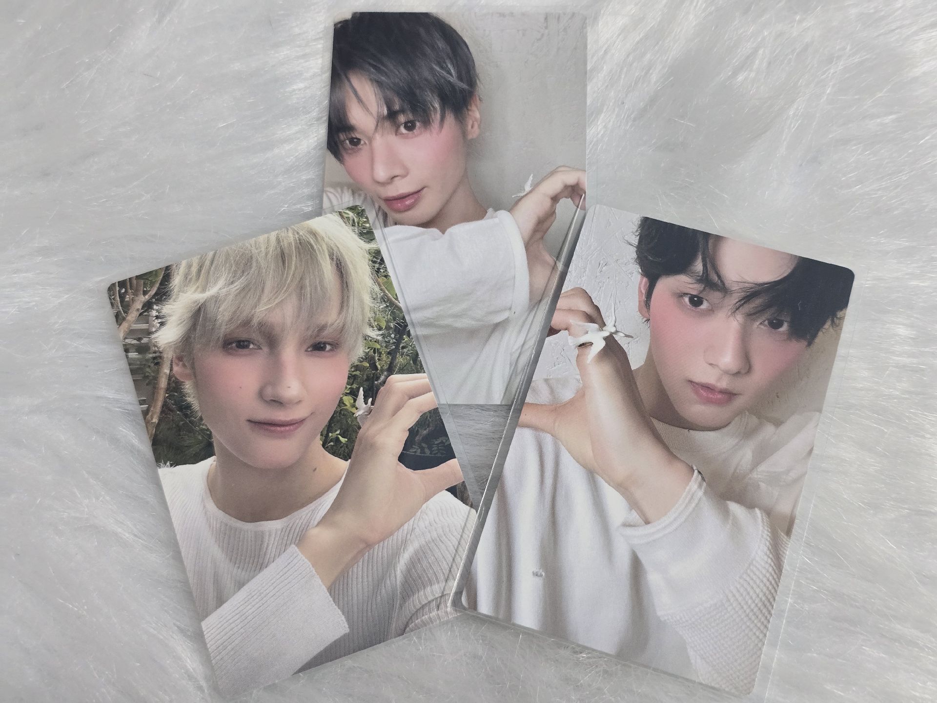 日專比心卡🫶🏻彬顯寧