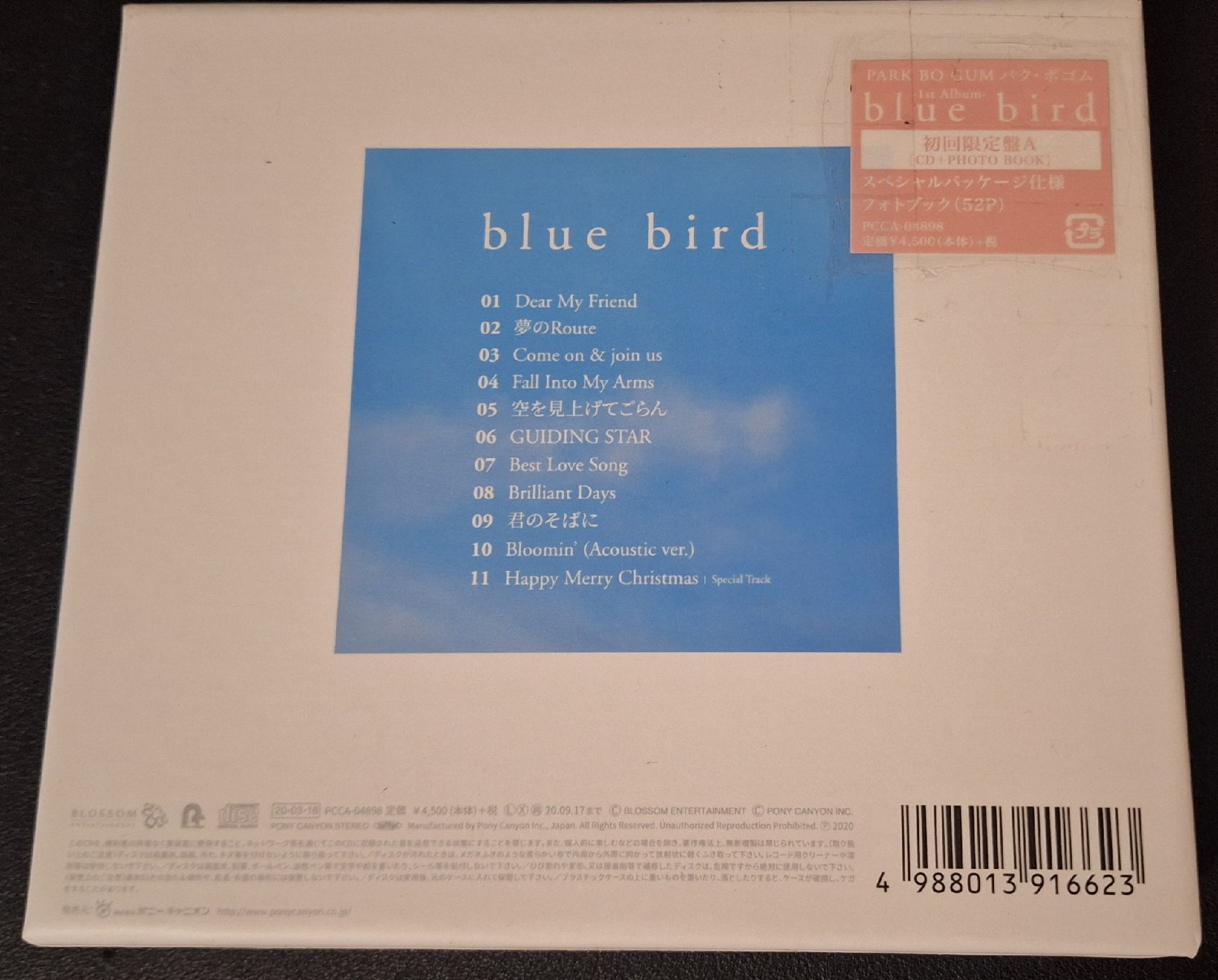 Blue Bird 