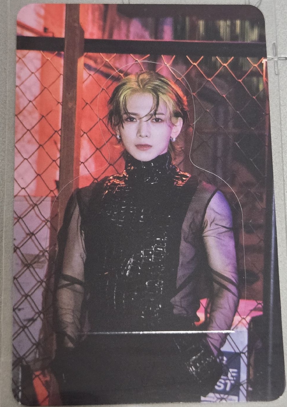 🤍姜呂尚 Will 專卡