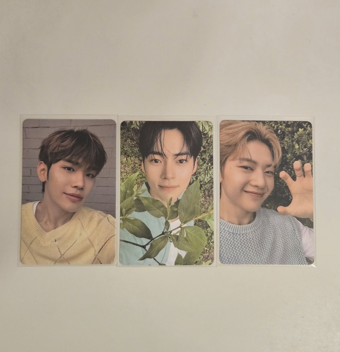 芭蘭歌林 代言卡 1.0 韓彬+泰來+馬修