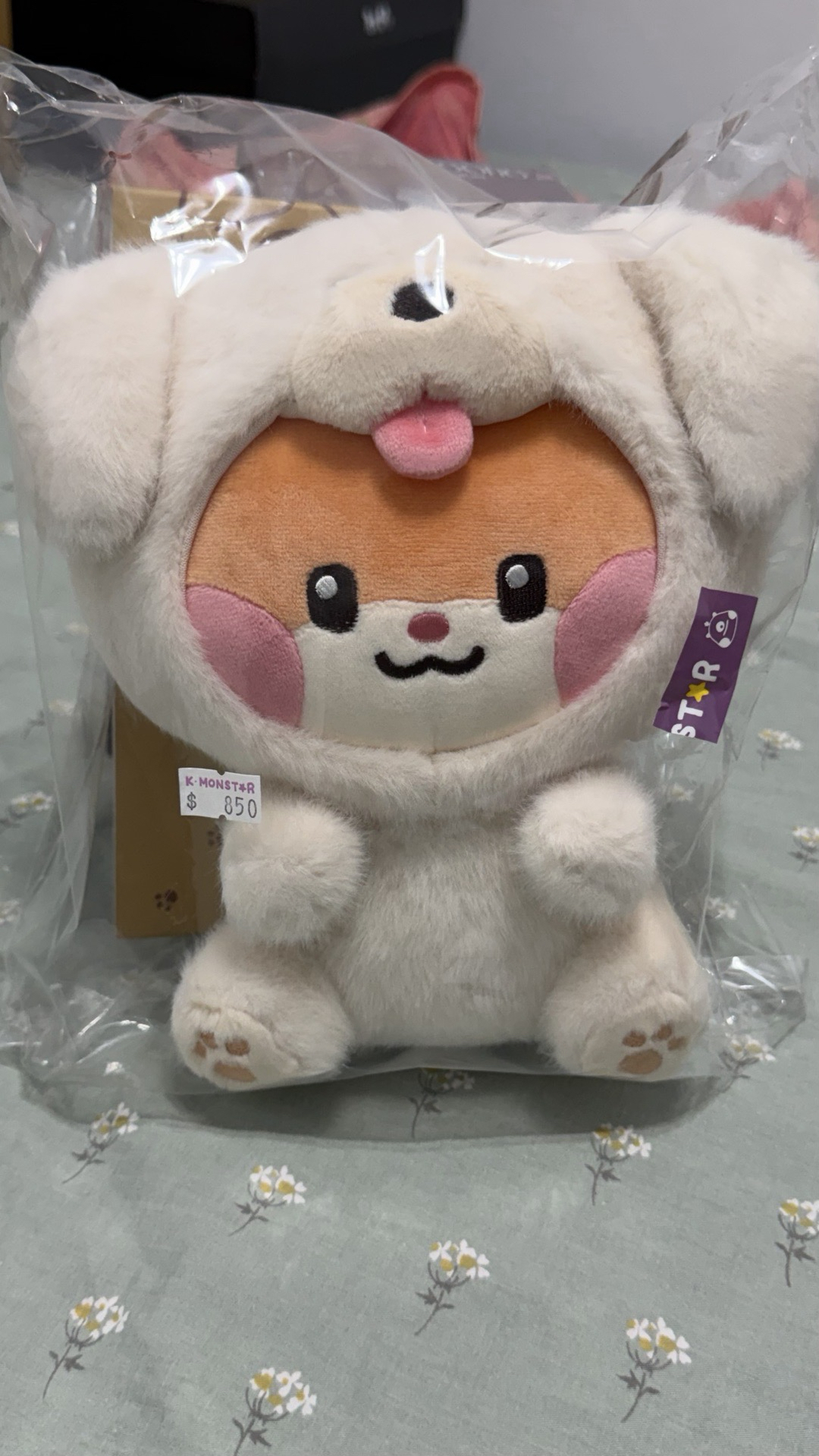 成韓彬 彬尼尼動物中娃