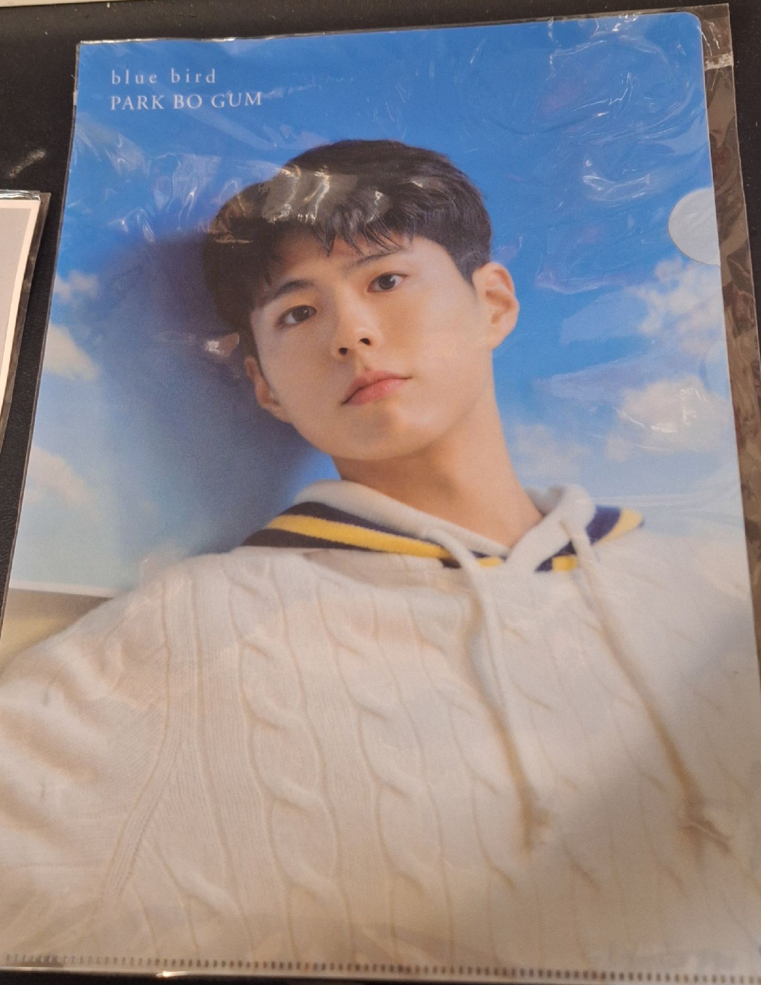 BLUE BIRD 資料夾
