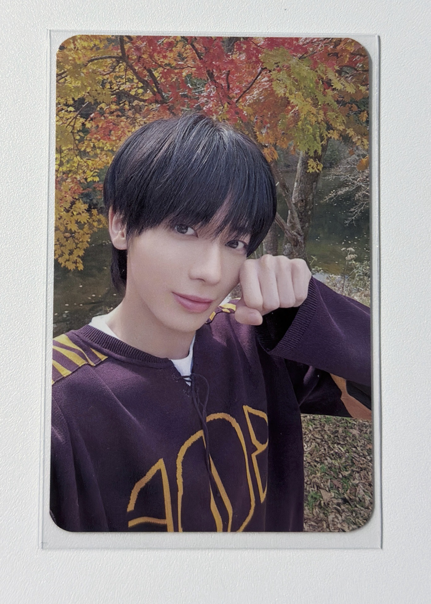 中背：moa的眼神閃閃發光