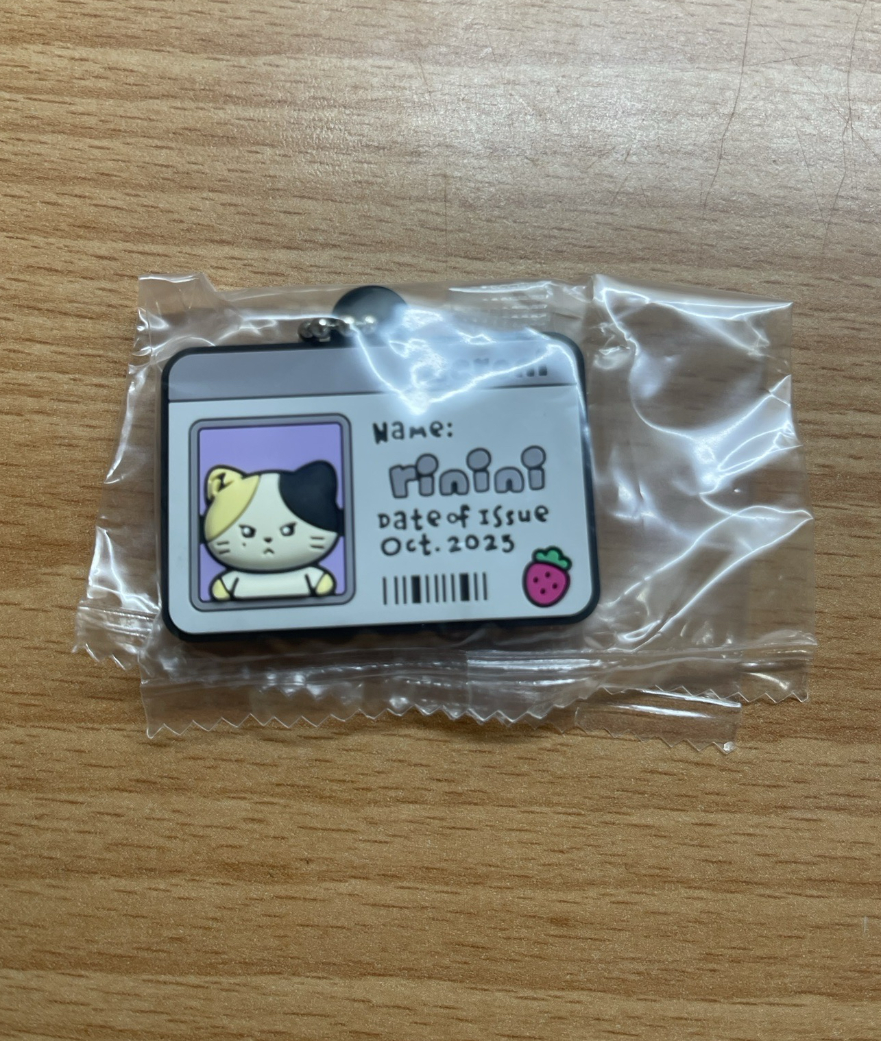 萬代 BANDAI 扭蛋 銳鑰匙圈吊飾