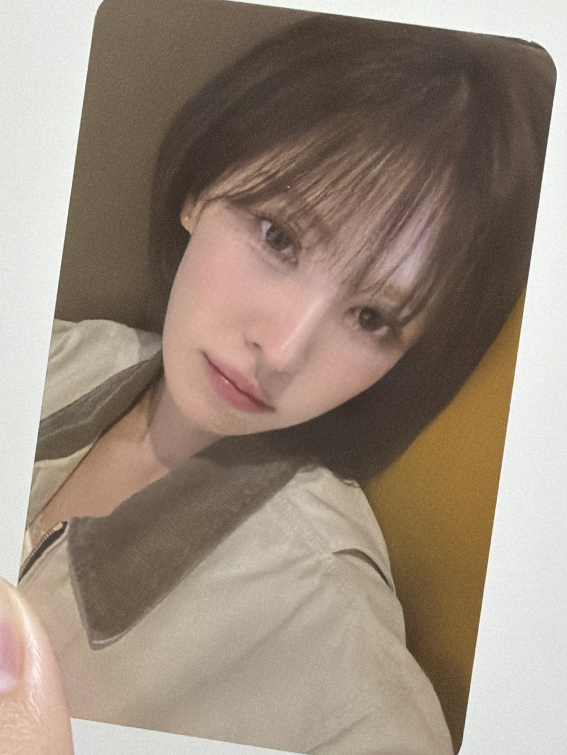 櫻花季wendy小卡