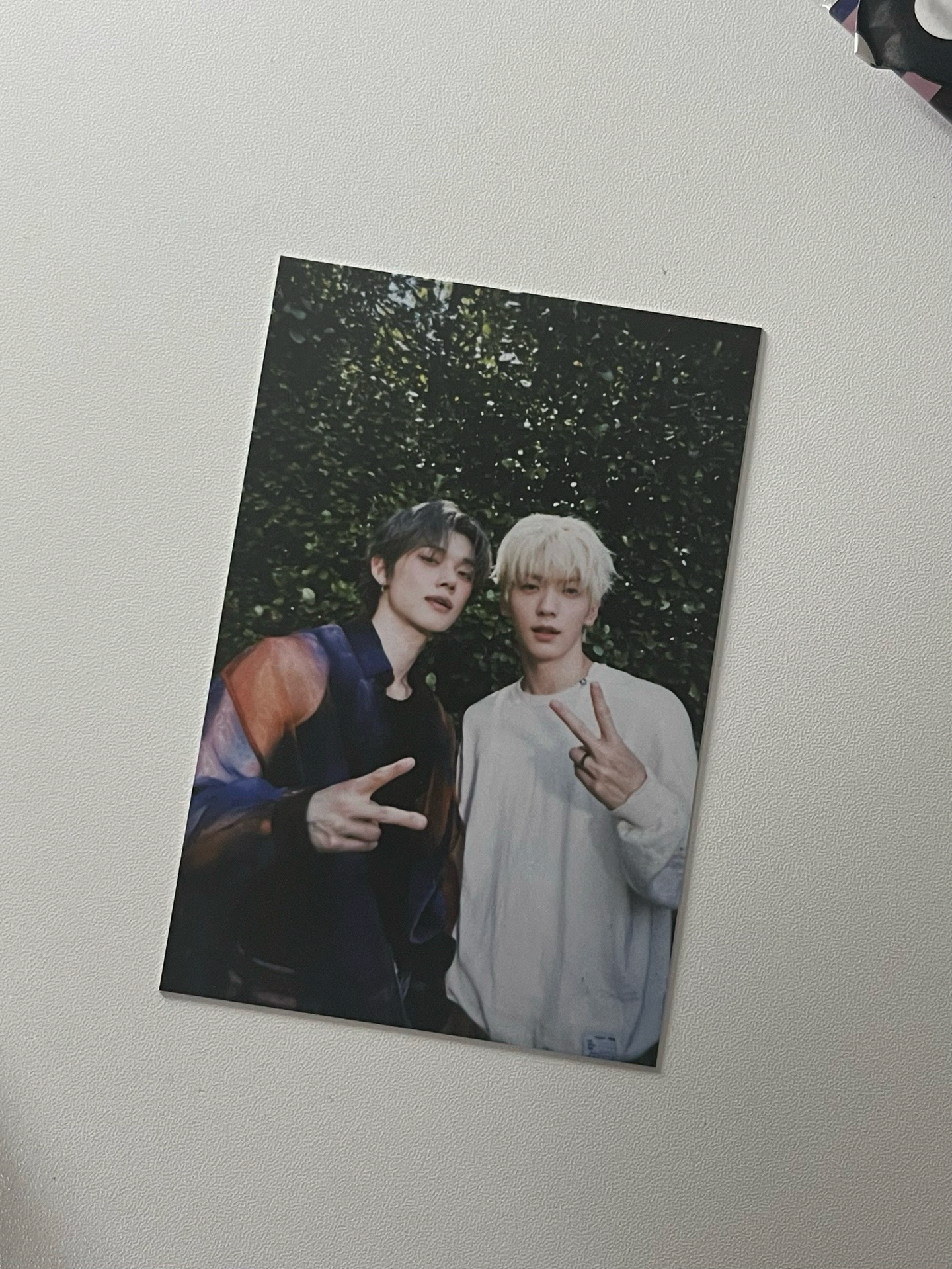 彬竣雙人明信片