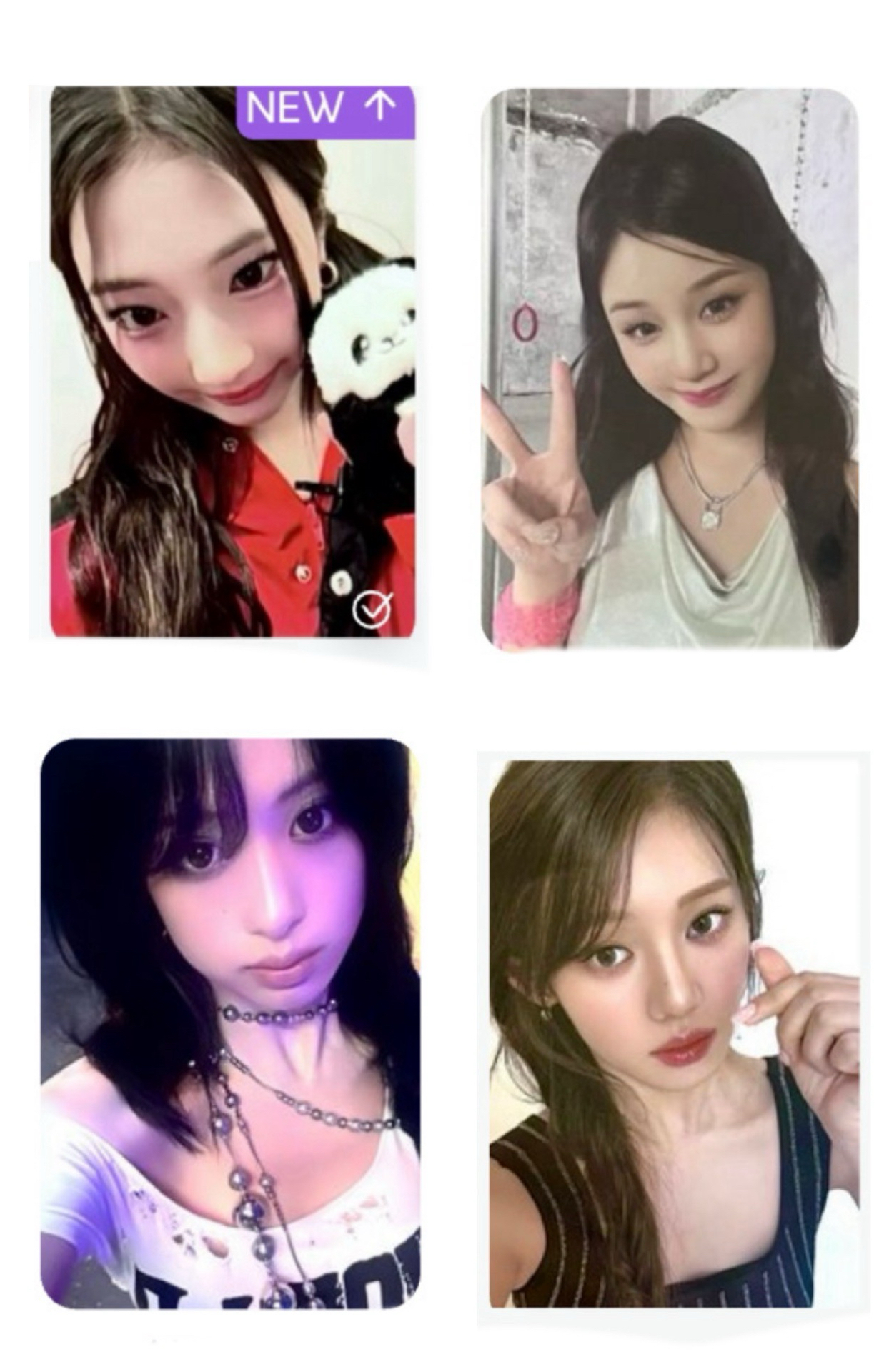 露 HOT SAUCE 上海快閃699滿額 熊貓露