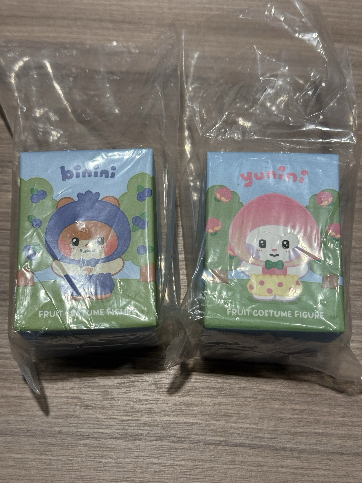 ZEROBASEONE zeroni 水果 模型 