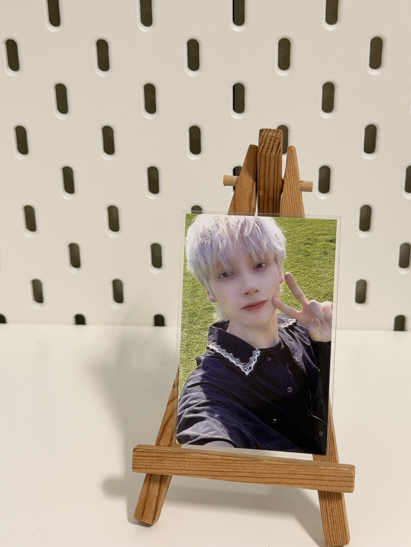 25’巡迴  moa zone