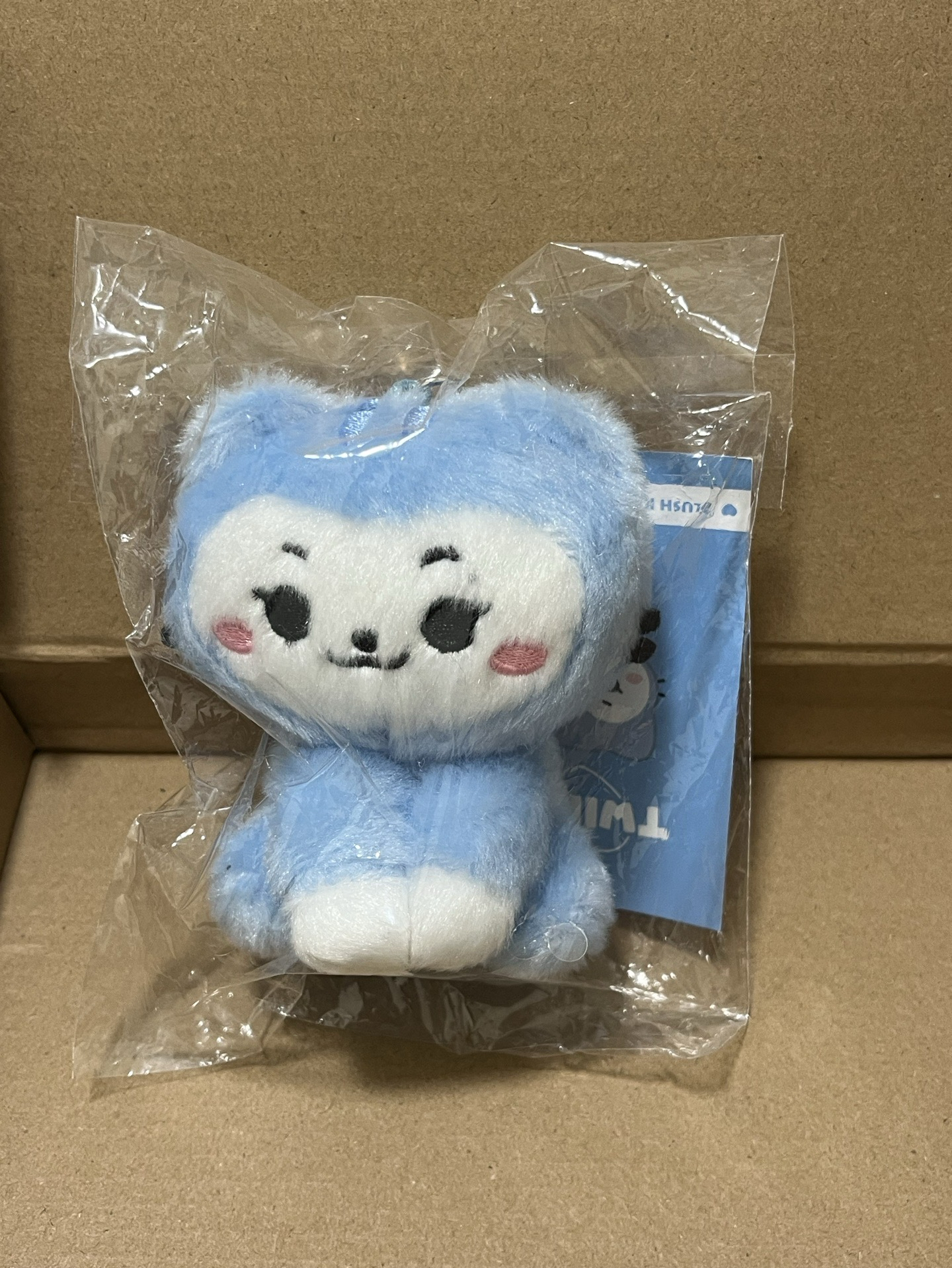 2024 FM 鑰匙圈吊飾 TWINZY 坐姿娃娃 留