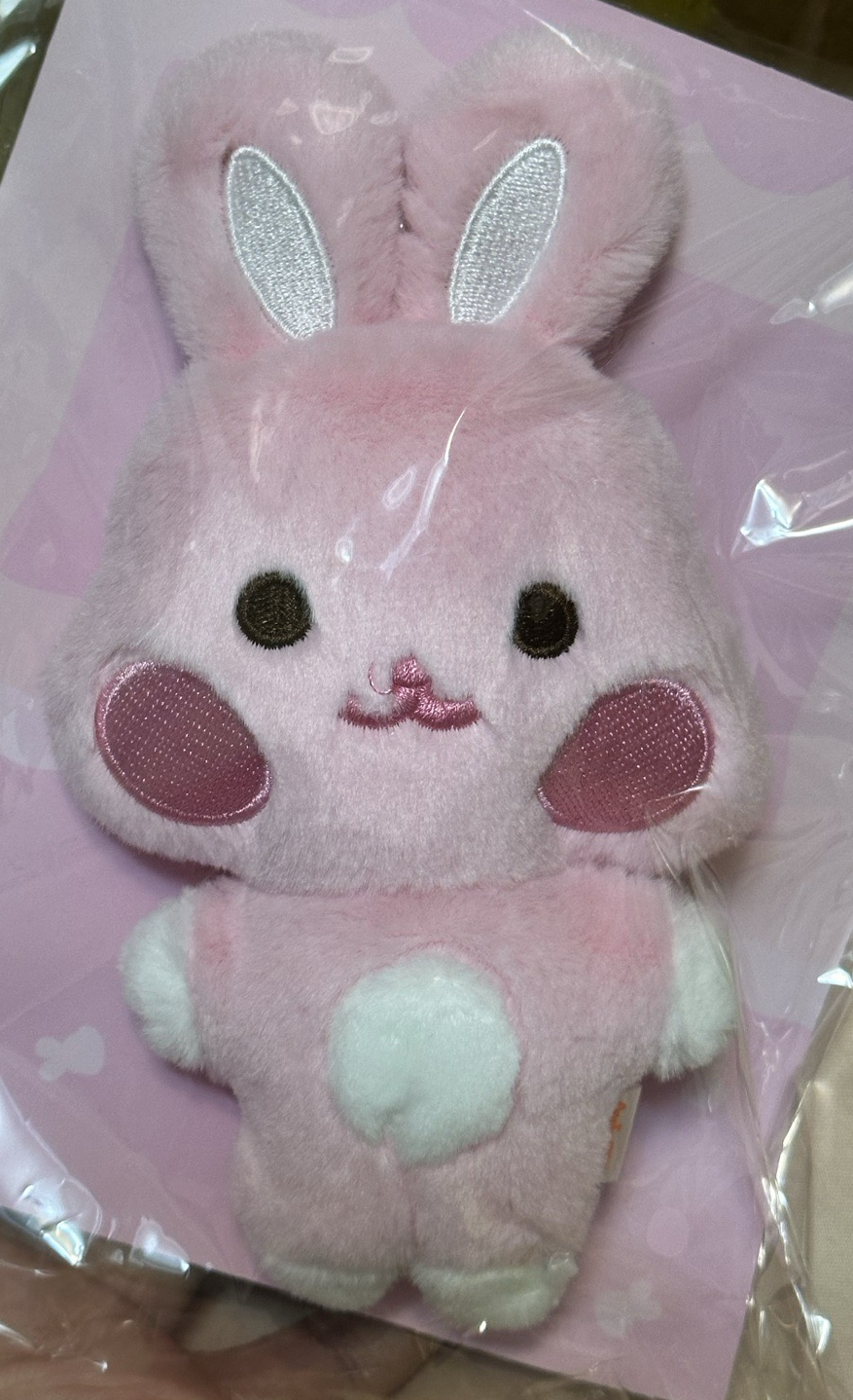 咚星(這批咚智齒剛拔完)