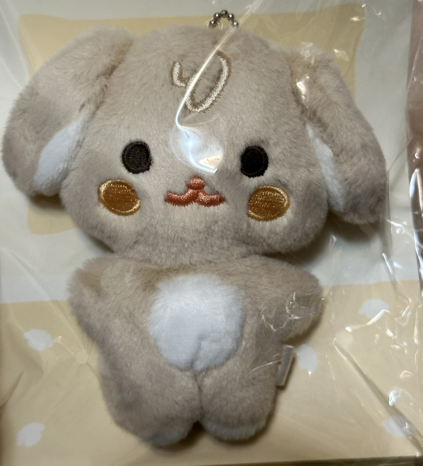 凸咚尼(特別好看的狗勾舉右手)