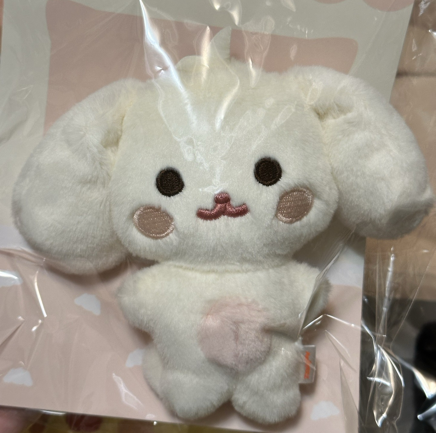 嘿夢尼(第二好看的狗勾舉右手)