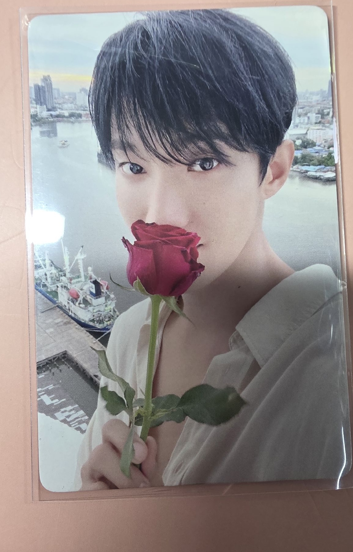 玫瑰花 李碩珉 上海線下