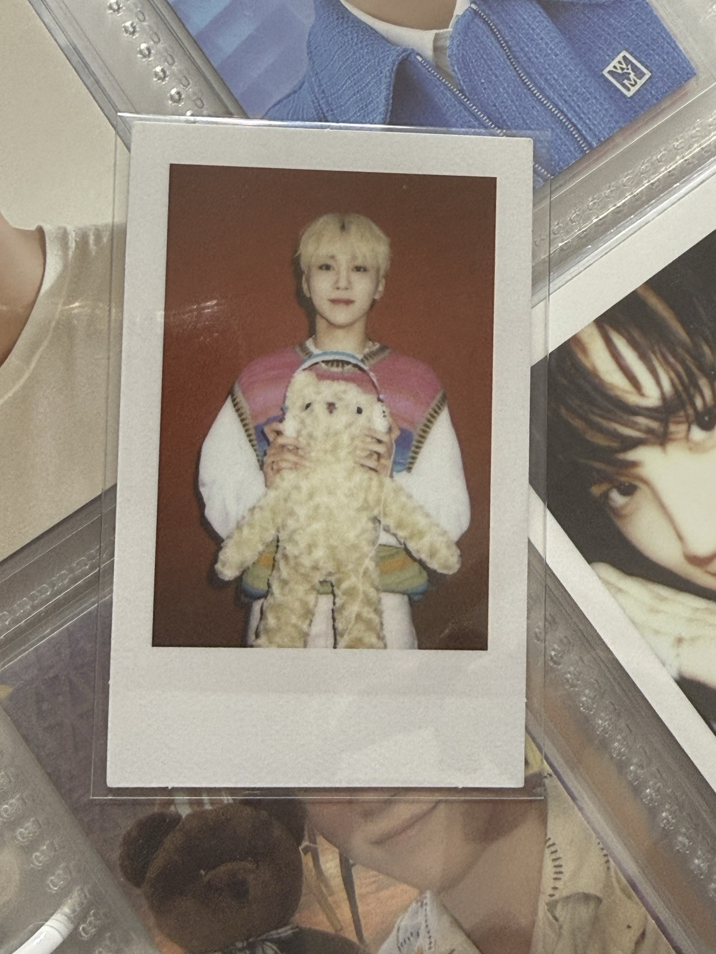 抱熊熊的可愛寛