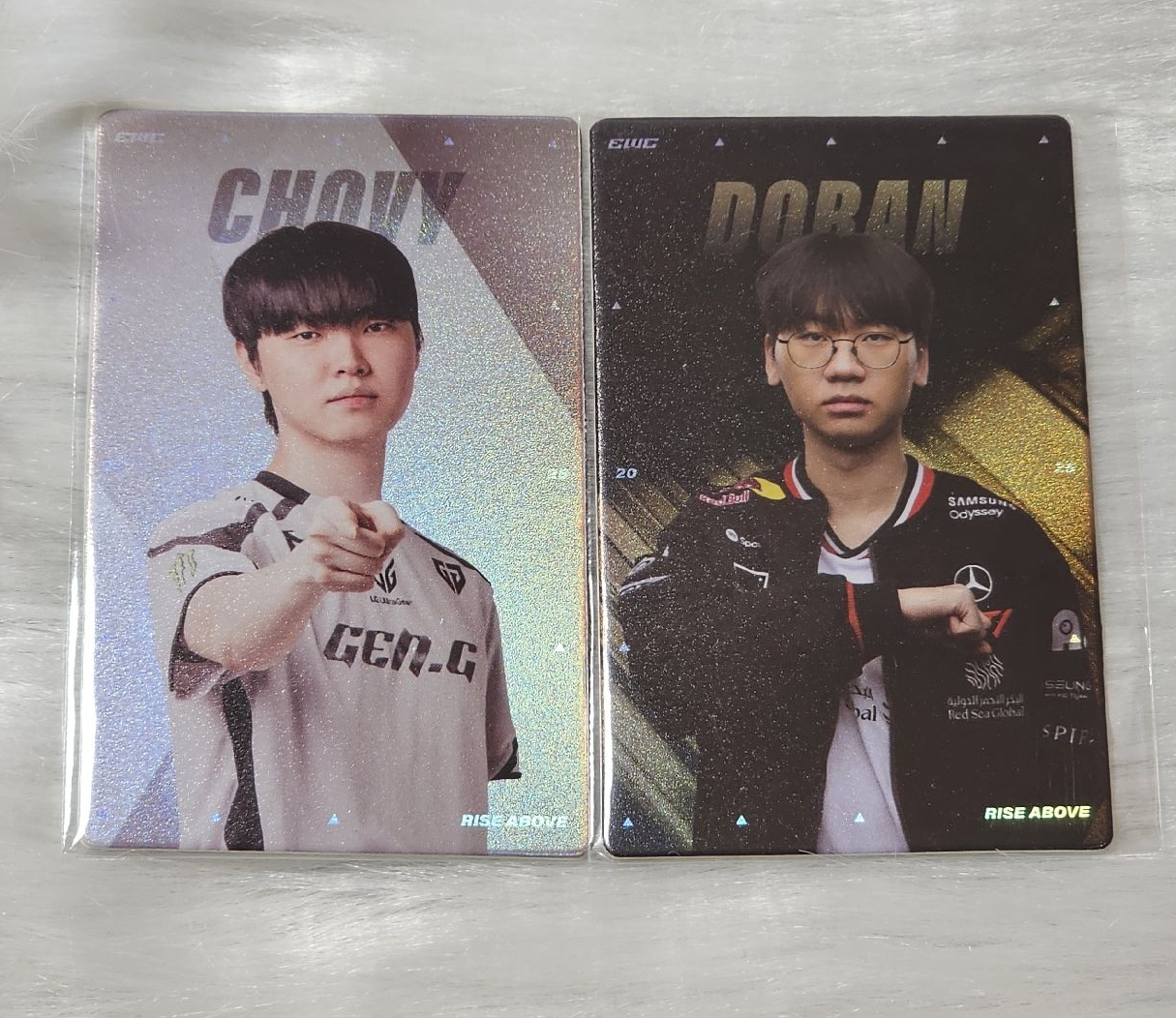 🐱🐿EWC觀賽卡 兩張一起出