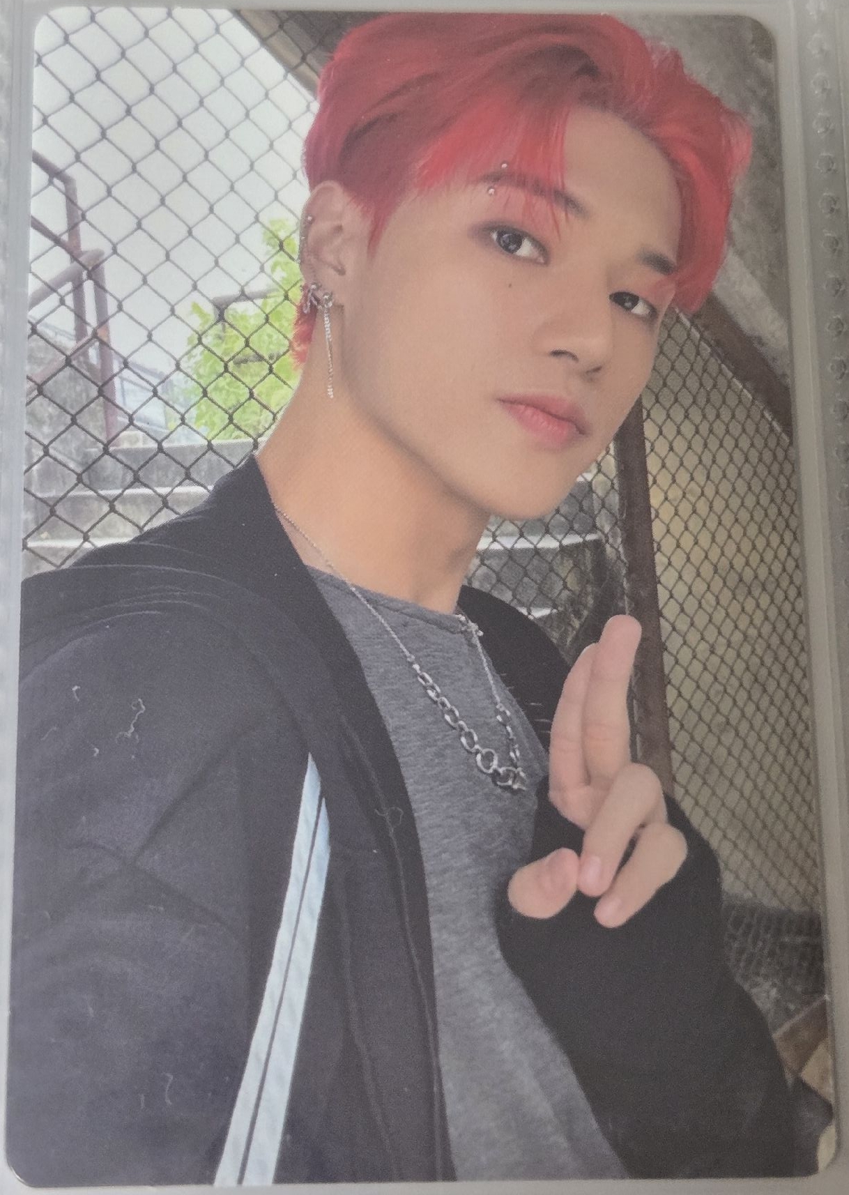 🤍鄭友榮 From the witness 專卡