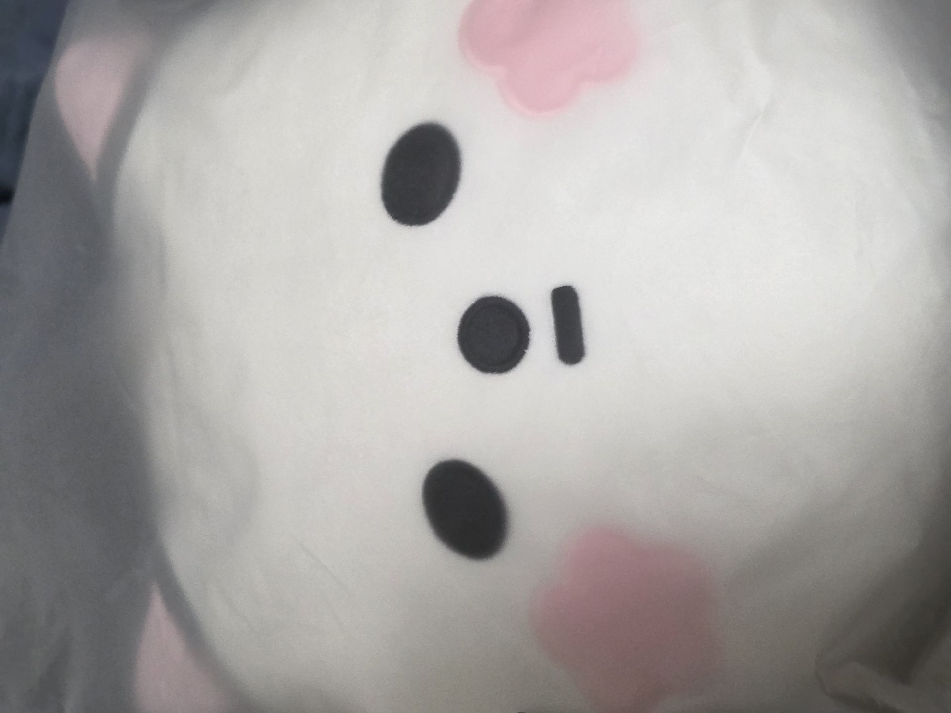 《現貨》代友售 全新未拆 XL+櫻花抱枕