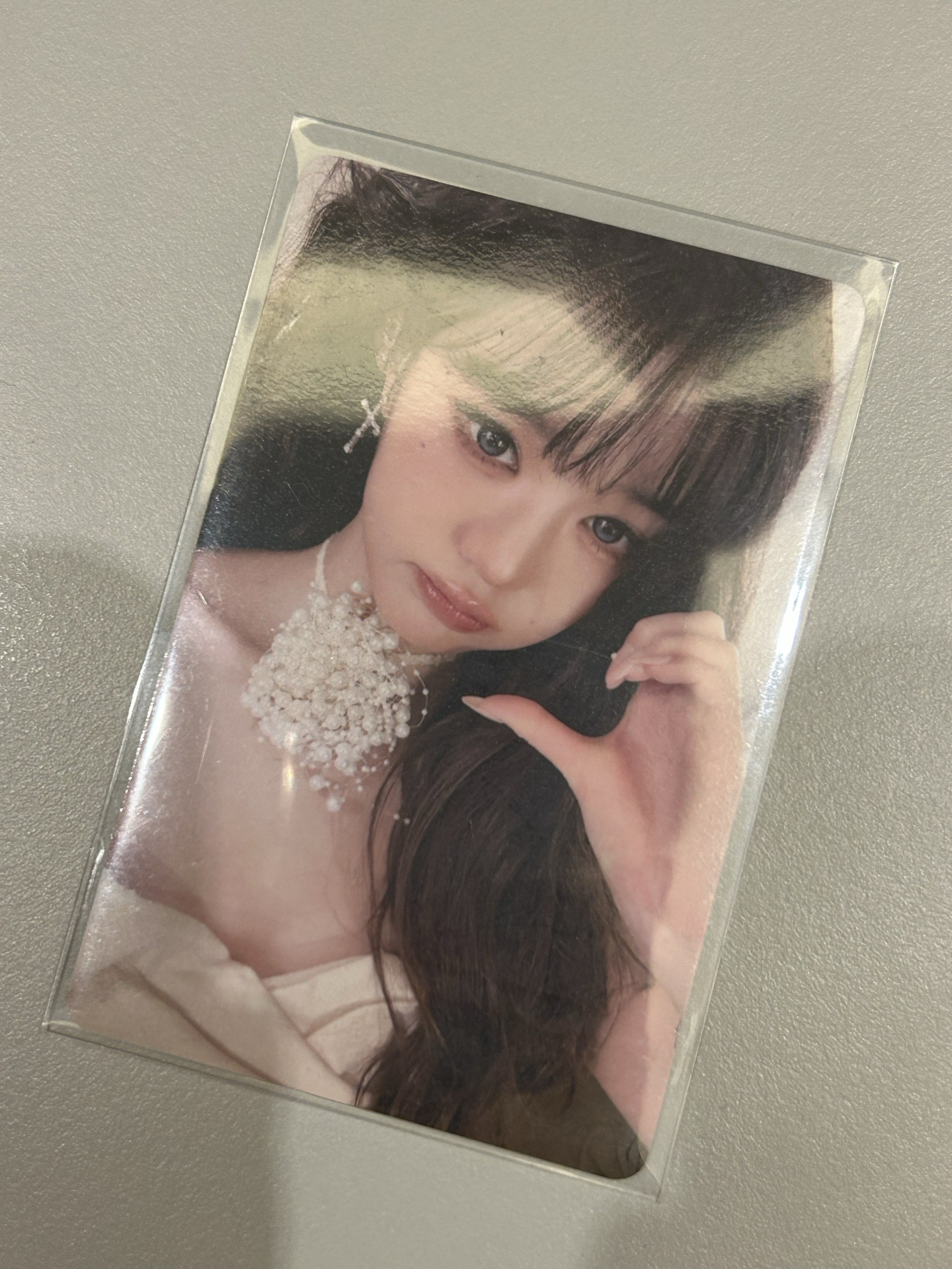 10.12布偶貓貓員