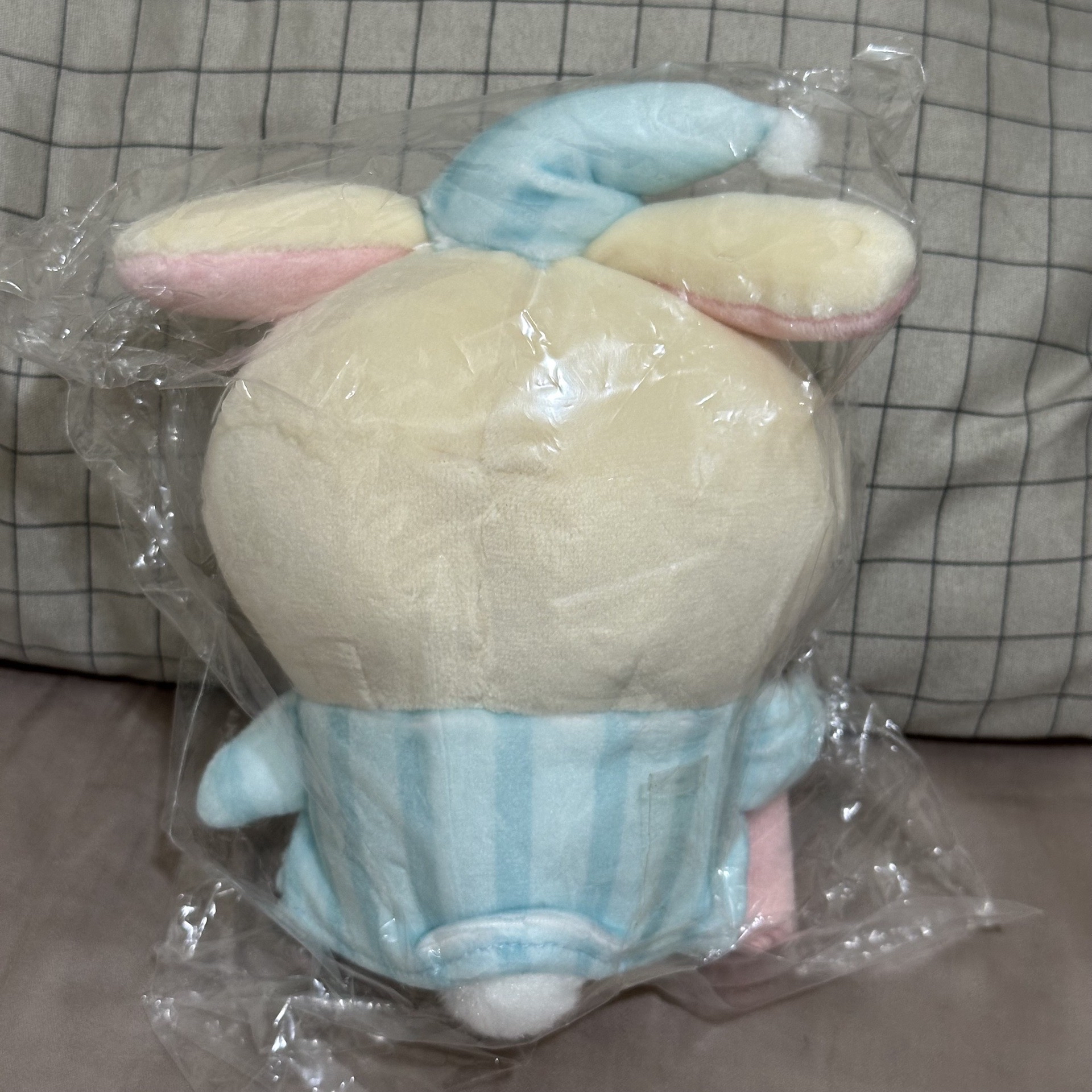 甜夢兔兔💤🌙