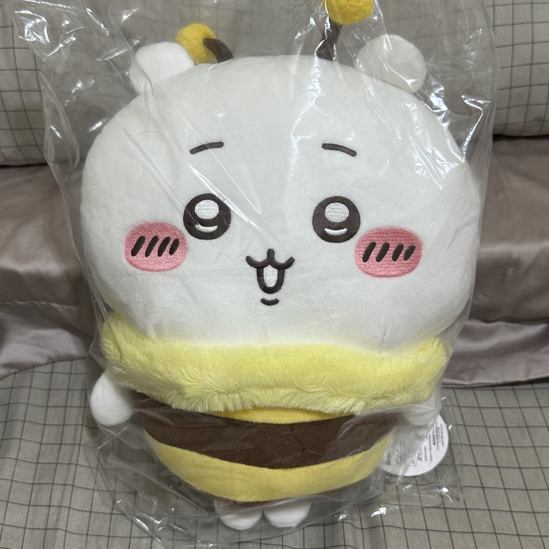 BIG!!!蜜蜂吉伊🐝