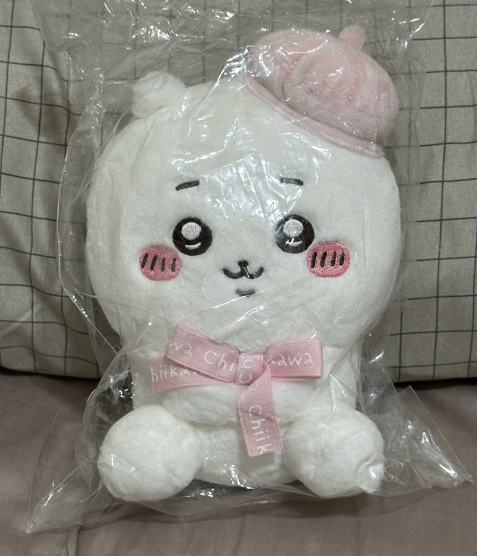 東京車站 貝雷帽吉伊🎀