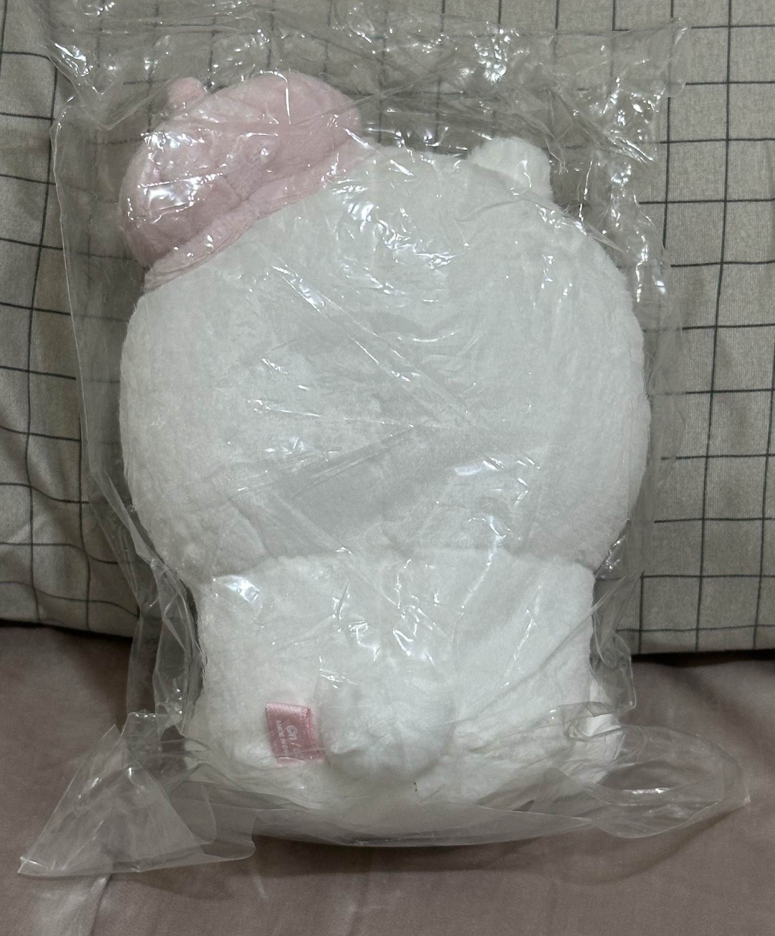 東京車站 貝雷帽吉伊🎀