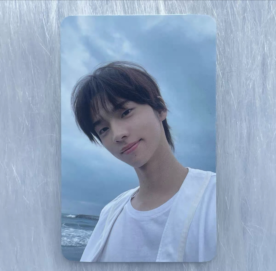 申惟海邊卡四張