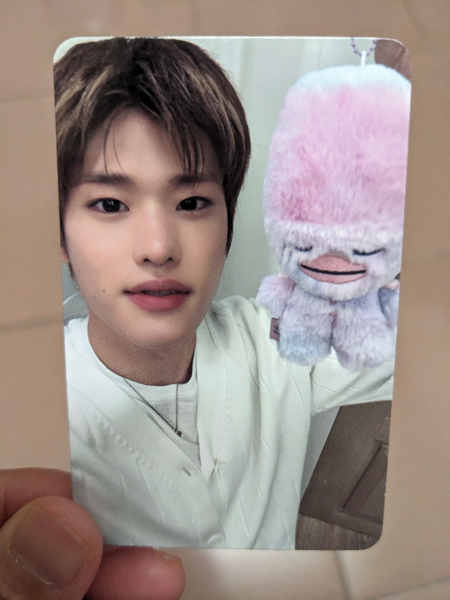 ODYSSEY娃專專輯卡-炤熙