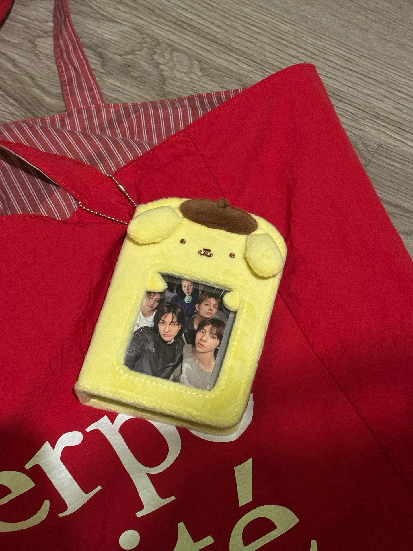 三麗鷗 Sanrio 偶像應援卡冊 布丁狗 大耳狗 美樂蒂 彼安諾