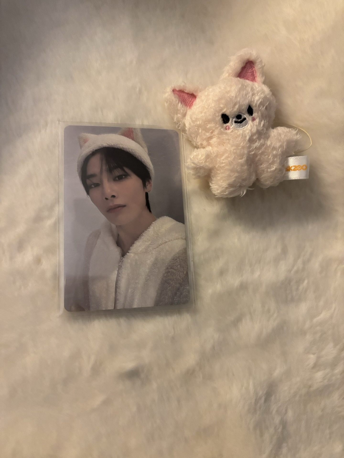 Hollo塔店 特典寅