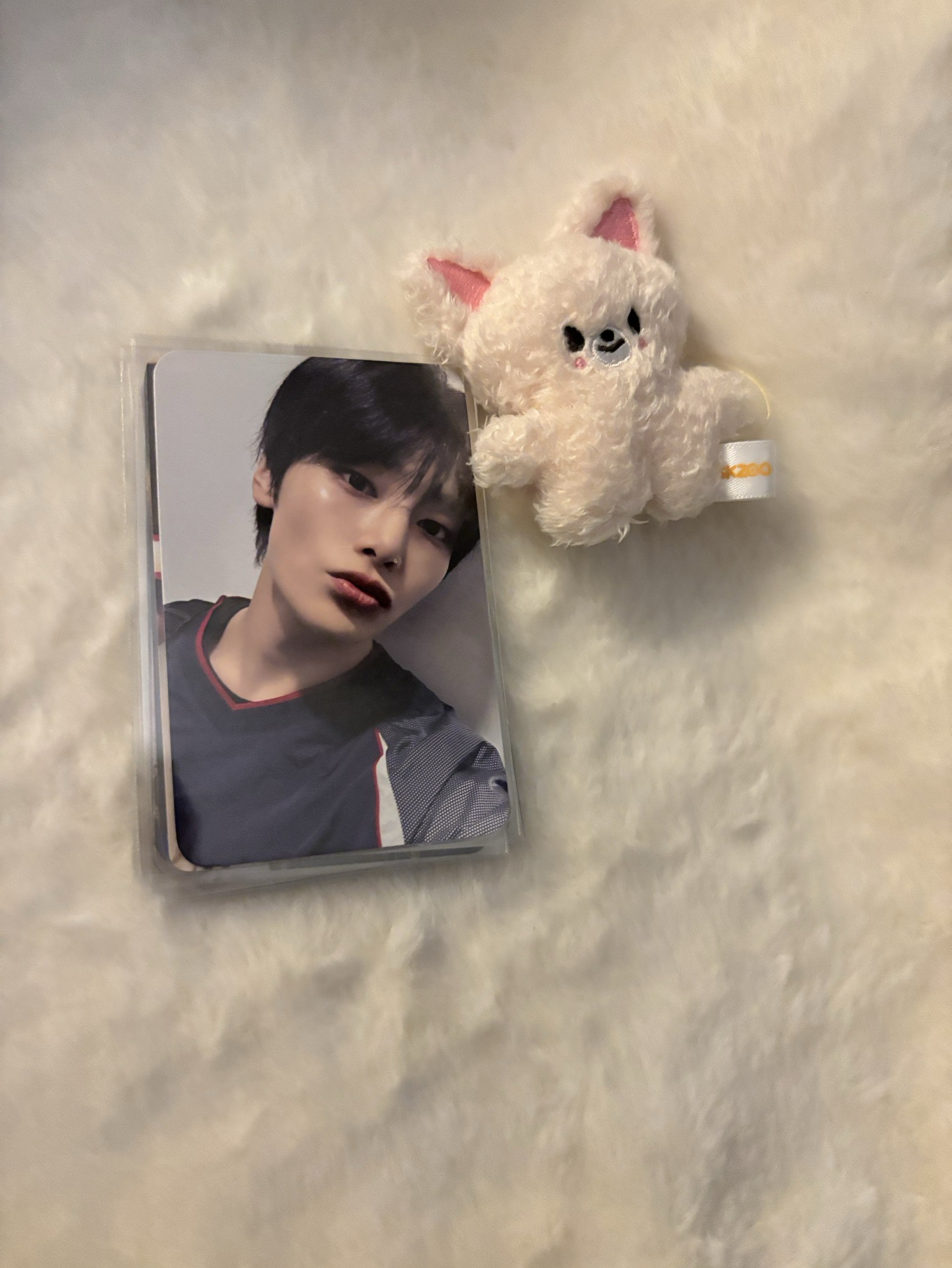 合Hop 阿拉丁 特典寅