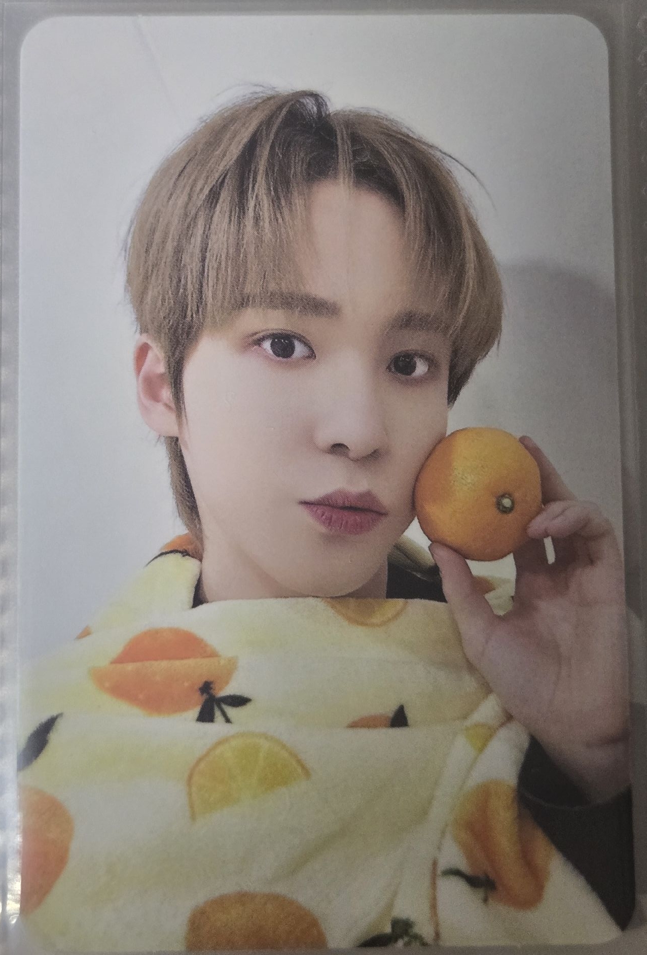 丁潤浩 Will ms 4.0