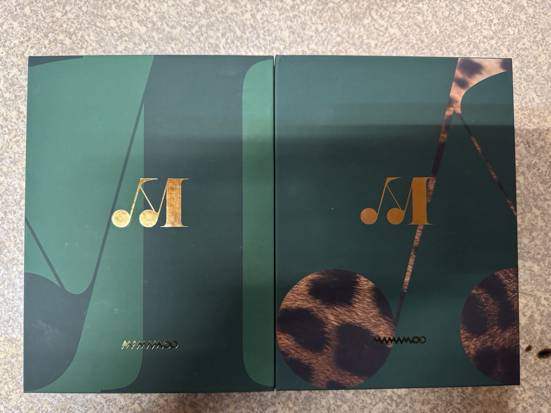 Mamamoo Travel Album 