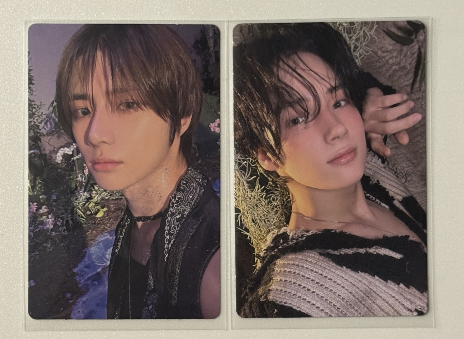 迷五 電子專輯卡