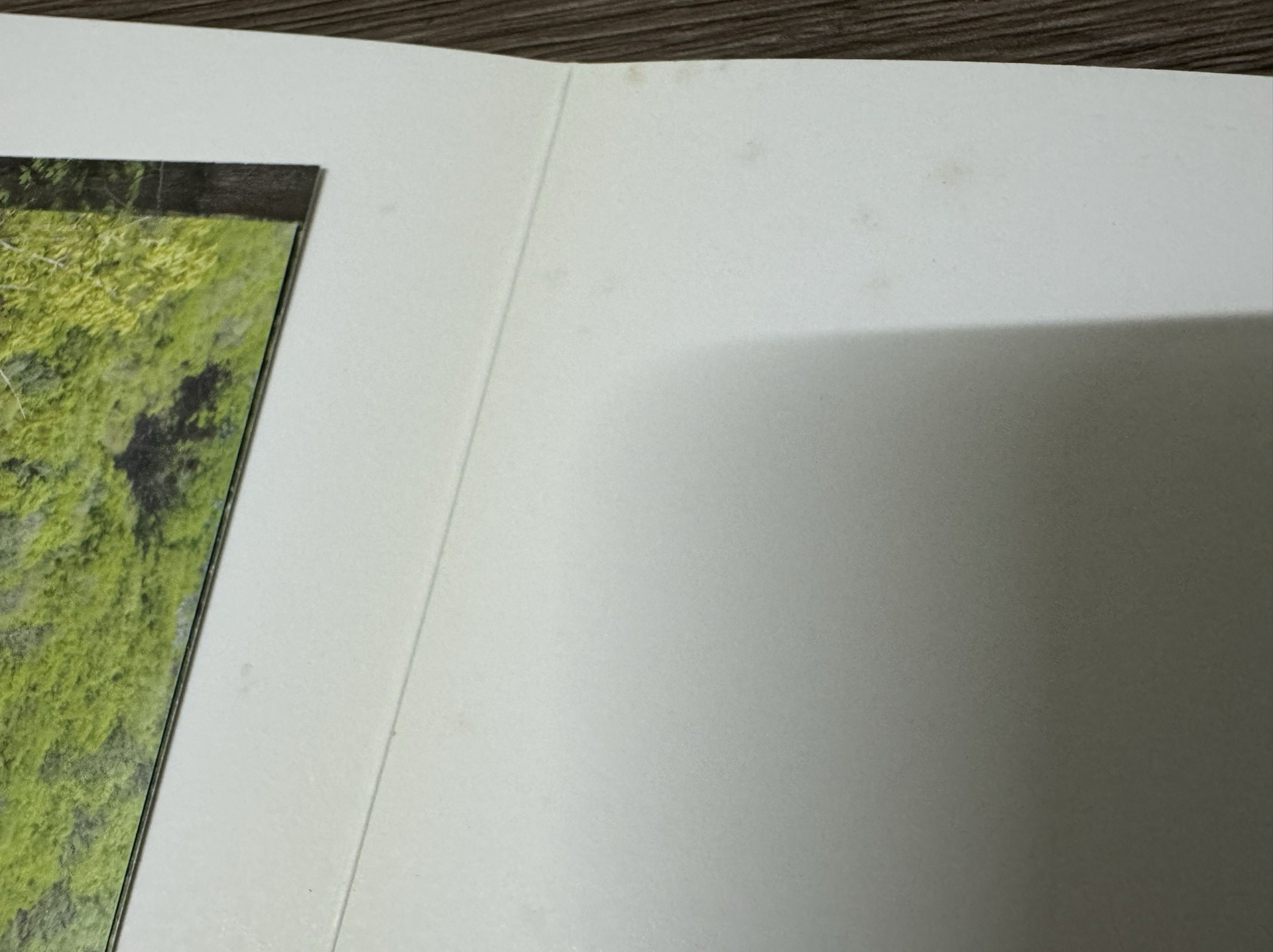 💎SVT IN THE SOOP寫真小卡明信片