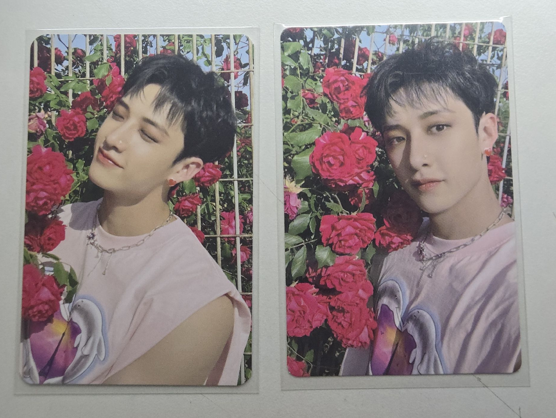 玫瑰花園燦🌷🐺 MAXIDENT bdm yes24