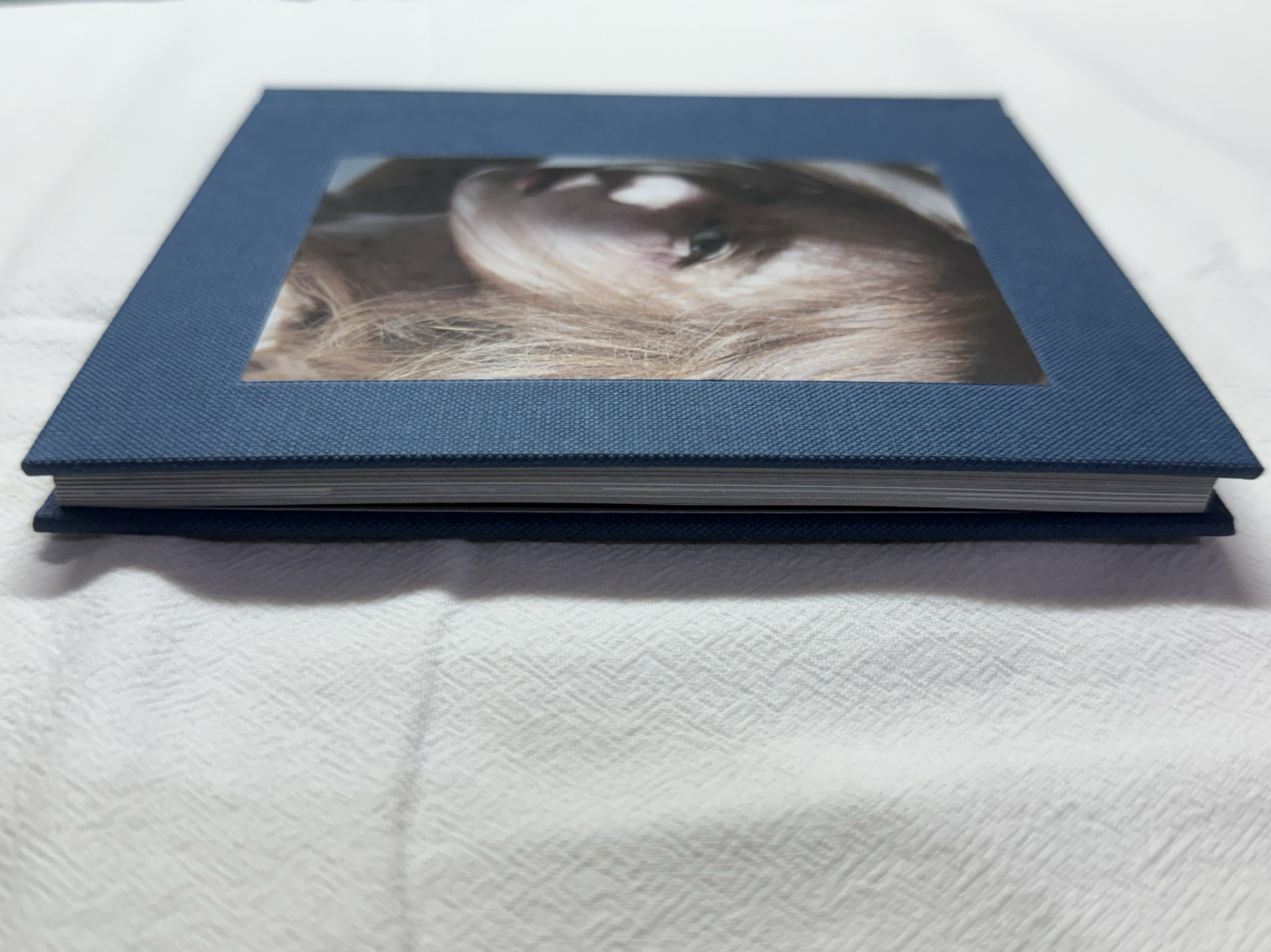 開除抓馬冬專換錢錢⭐️