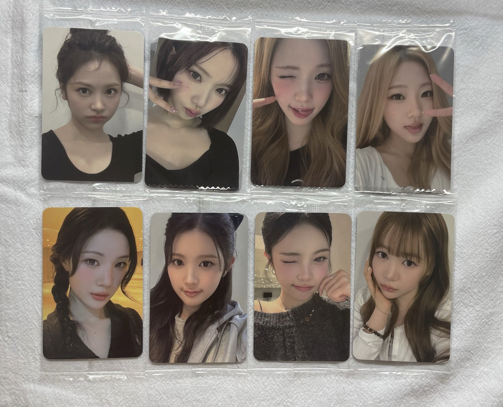 Focus k4 2.0 簽售卡 一套