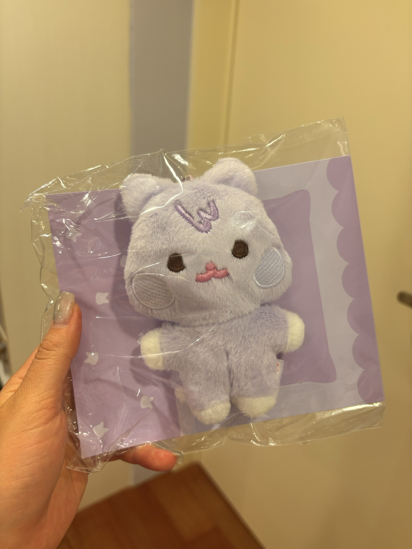 ANITEEZ IN TREASURE 豆豆眼娃，含小卡