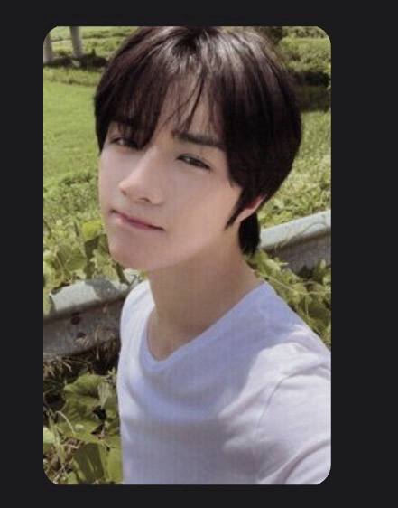 草地圭 正四 wvs SC pb 特典卡 