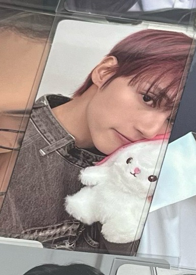 草莓兔榮（含專/多帶一張🌸）