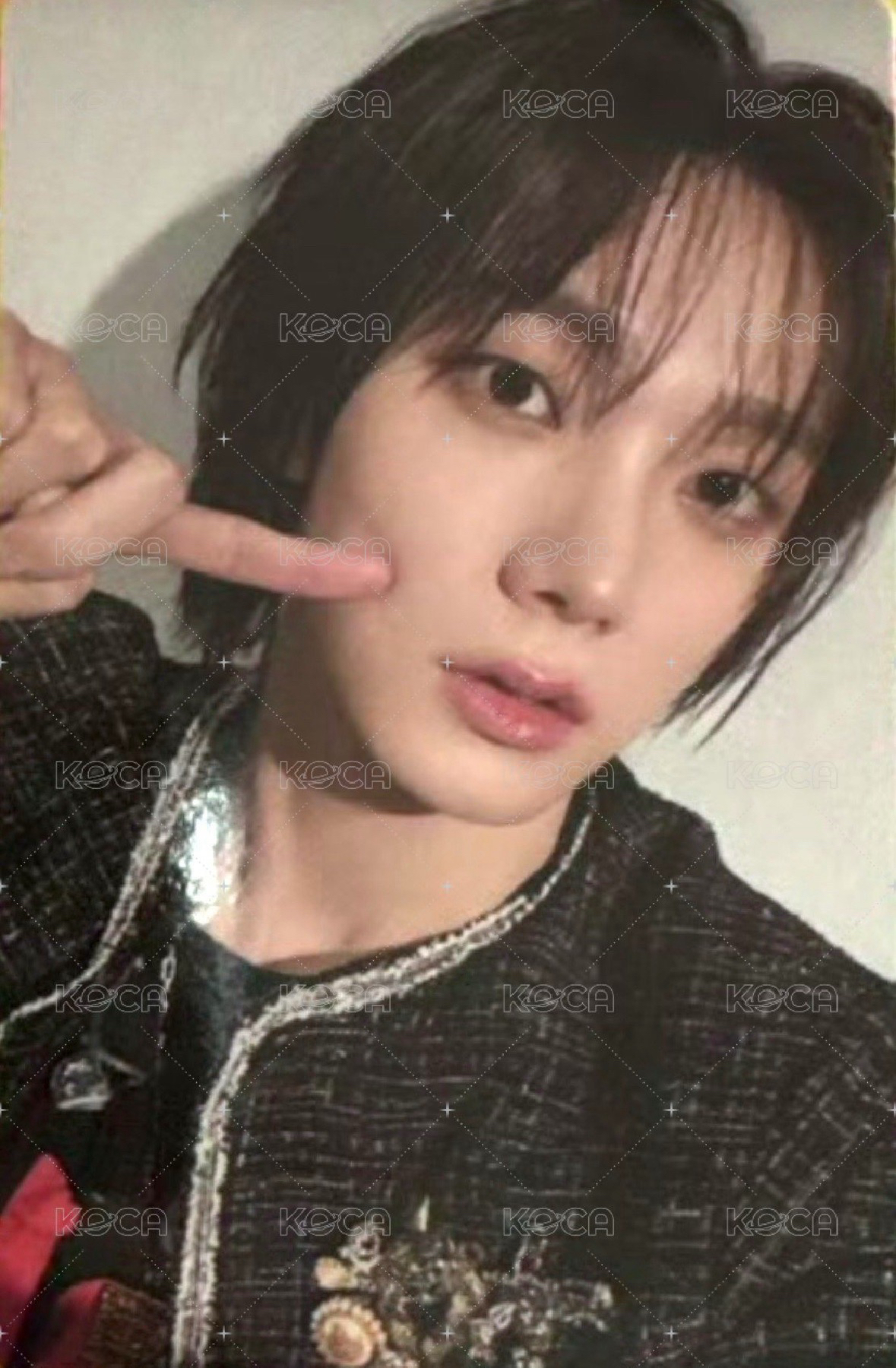 knock on巡演回憶錄