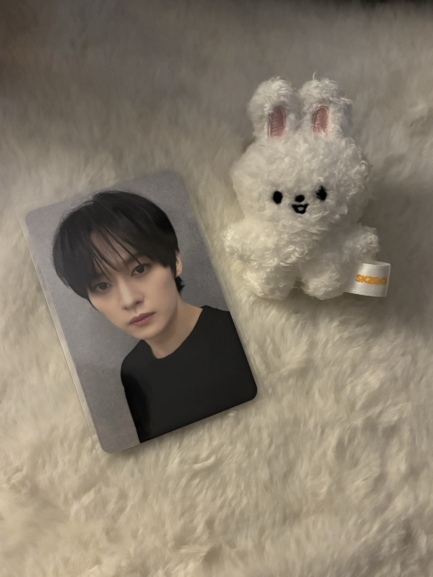 合(HOP) sr 特典卡 