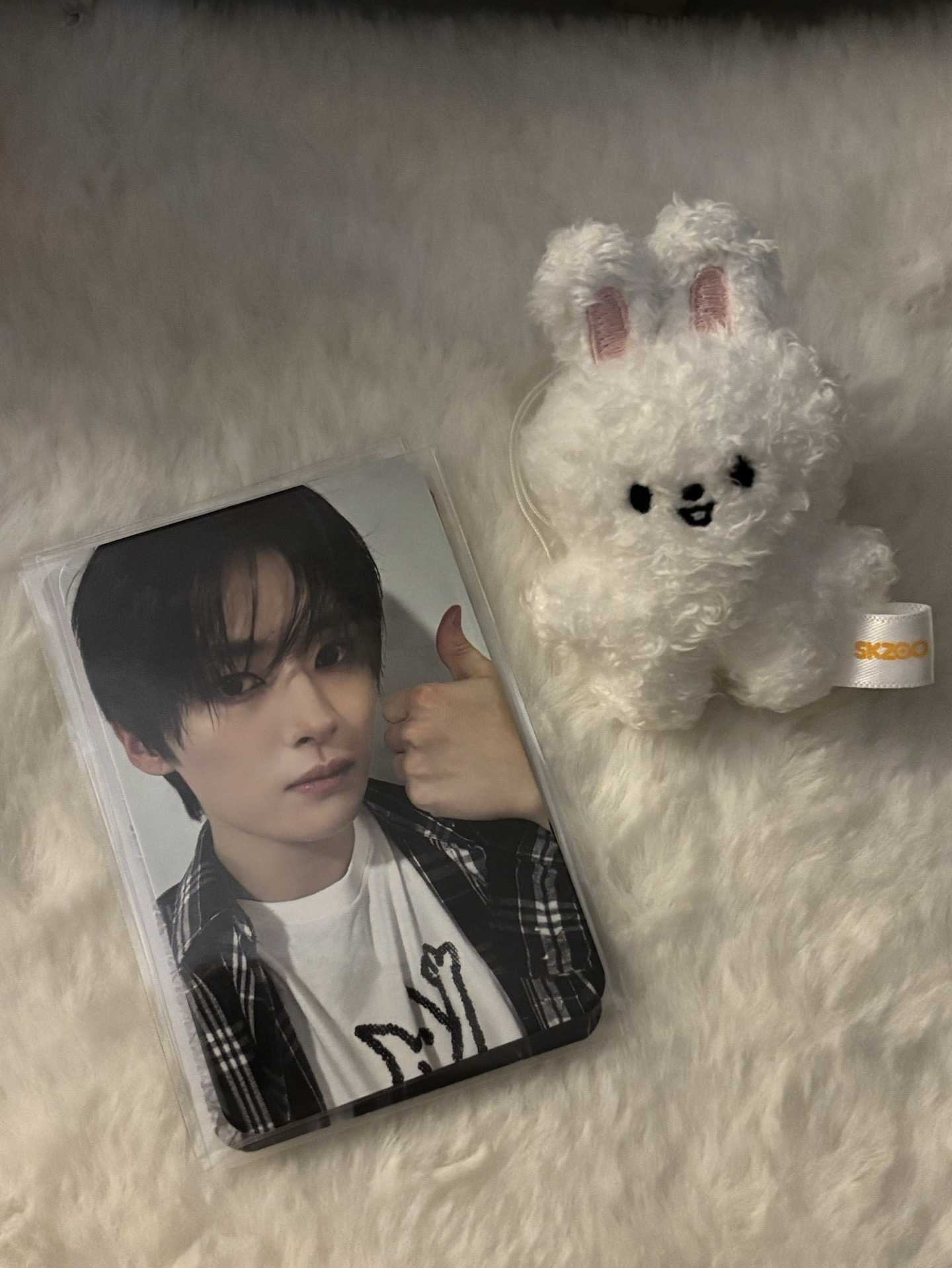 合(HOP) 阿拉丁 特典卡 