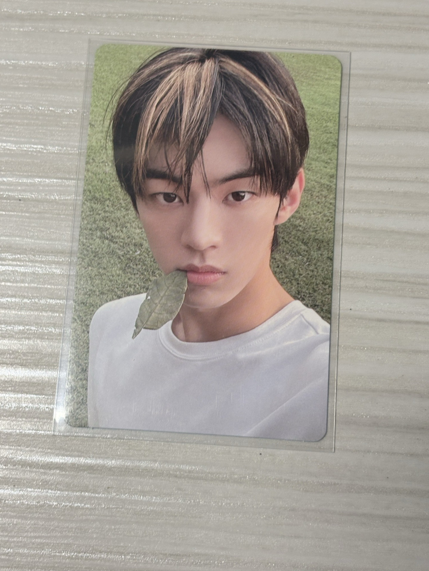 Tws 金道勳 迷二 小卡