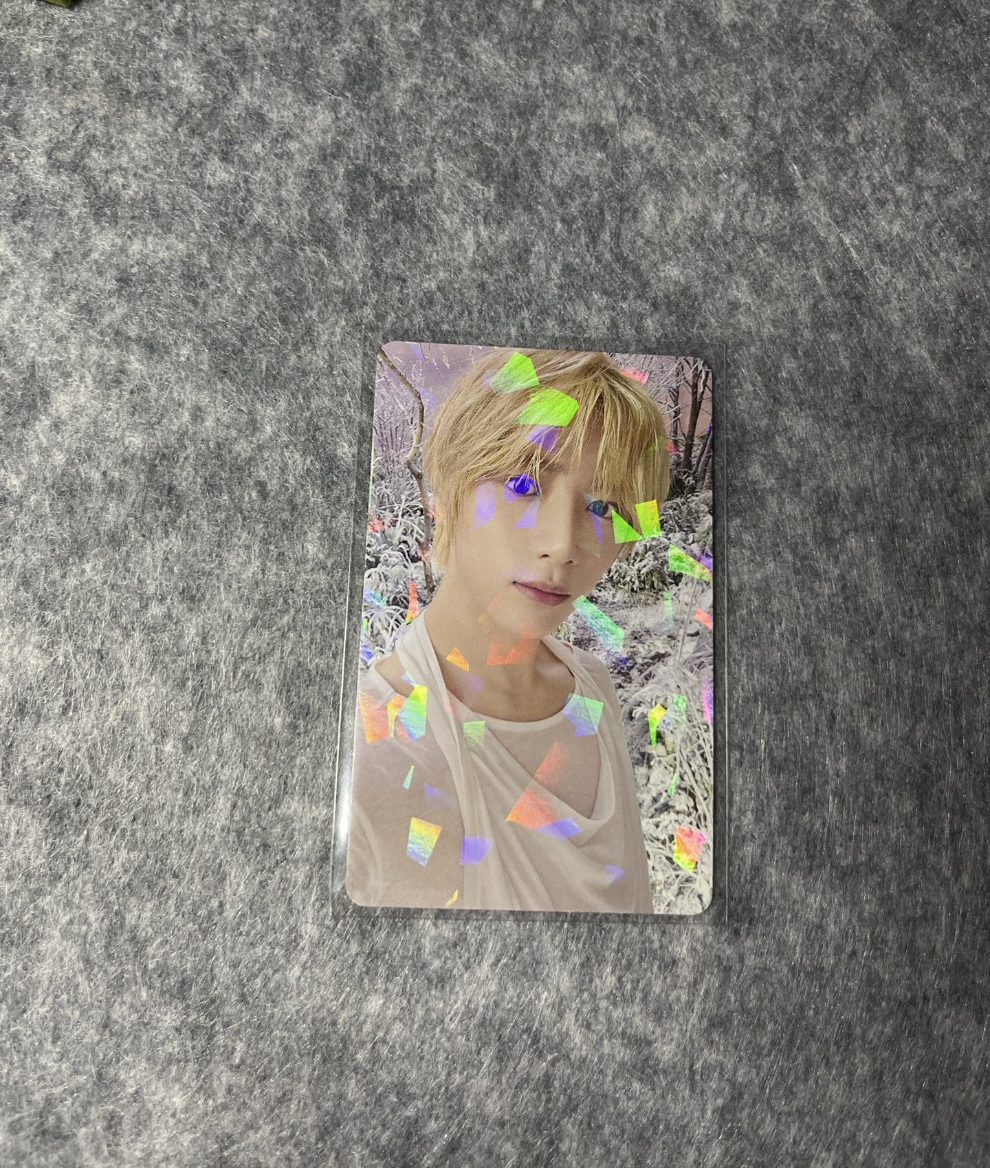 📌迷七 單封日咖🐻