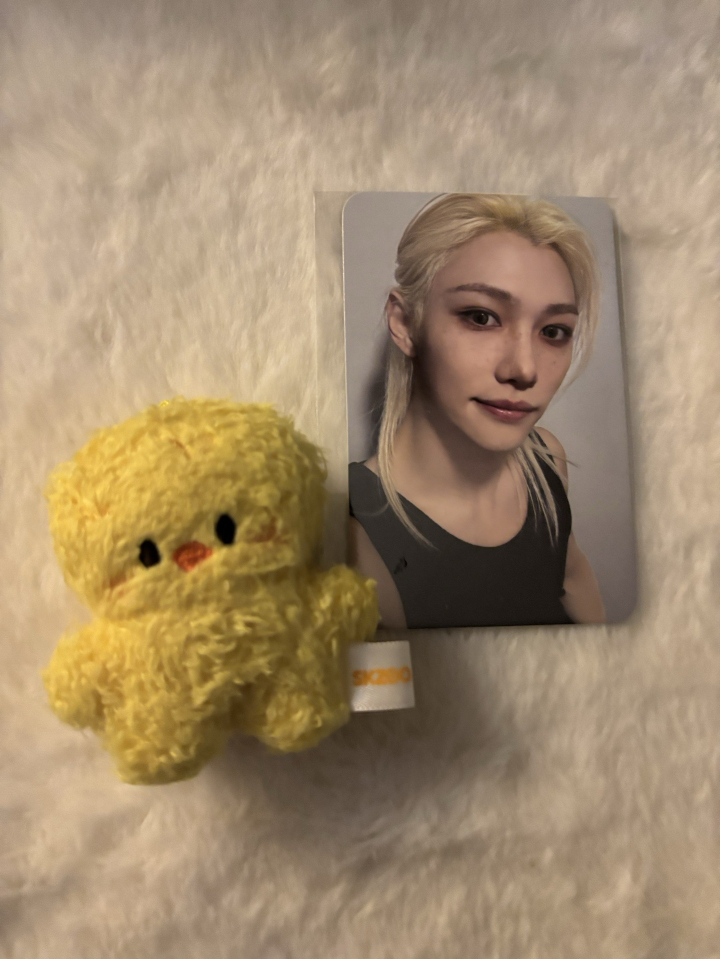 合(HOP) 阿拉丁 特典卡 